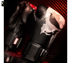 Găng Hayabusa 'The Punisher' Boxing Gloves