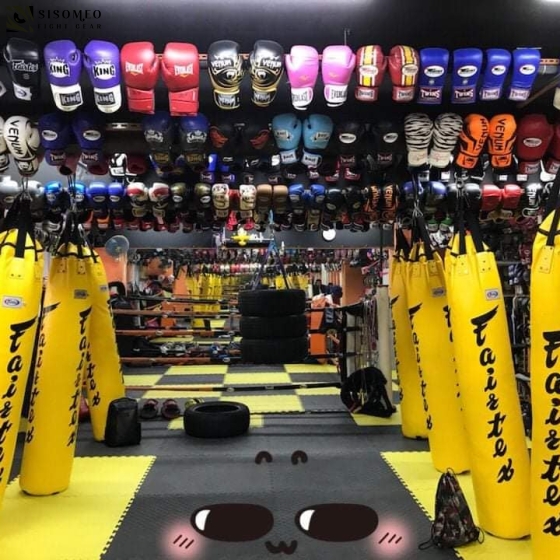 Thảm Lót Phòng Tập Muaythai - Boxing Martial Arts Matts