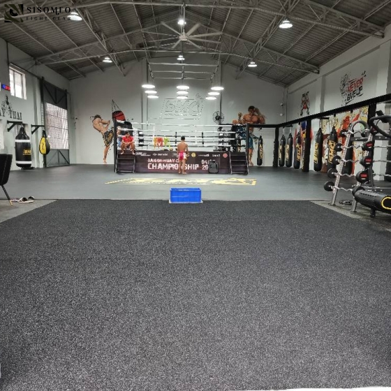 THẢM CỎ NHÂN TẠO ĐEN - BLACK ARTIFICIAL GRASS 