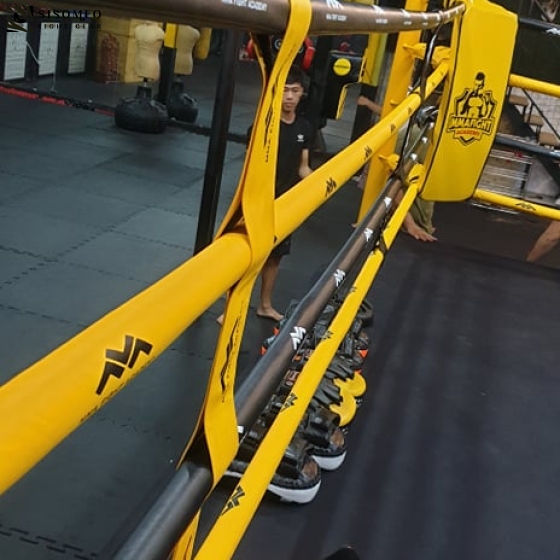 MMA - ACADEMY Q9 