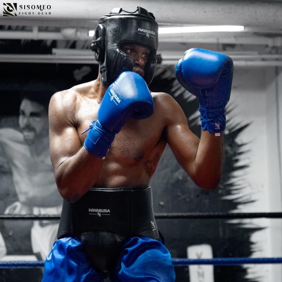 Hayabusa Pro Lace Boxing Gloves 