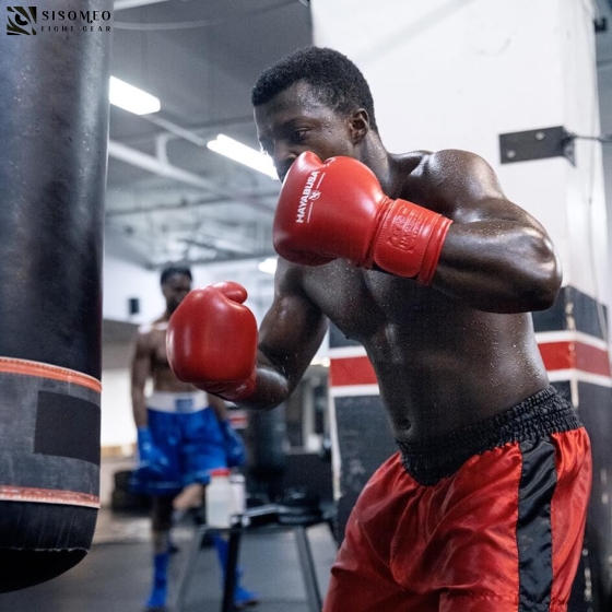 Hayabusa Pro Boxing Gloves 