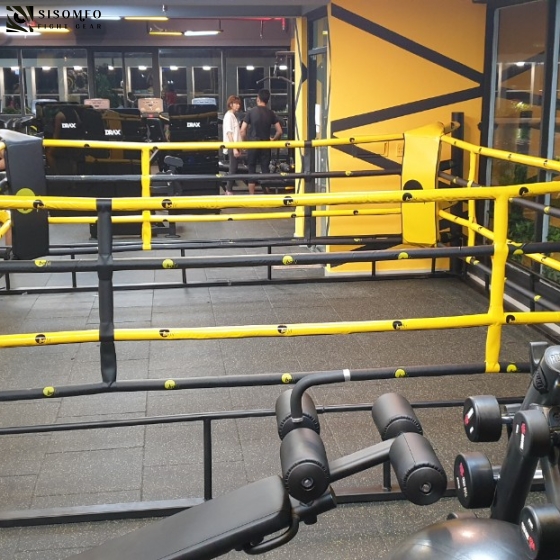 Befit Q9 - Free Stading Boxing Ring 