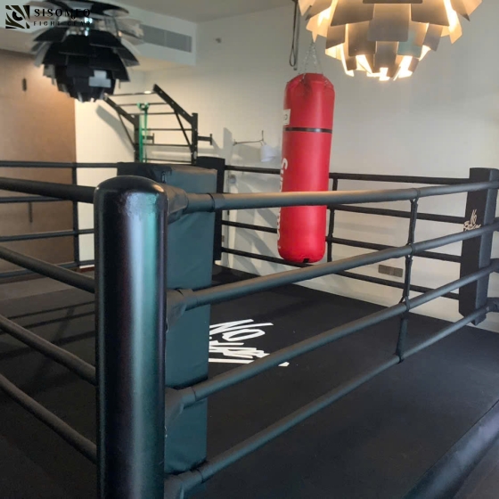 Đài Boxing Mini 4 X 4